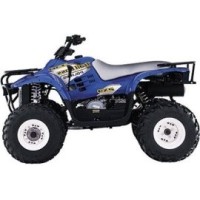 Polaris 330 Trail Blazer 2003