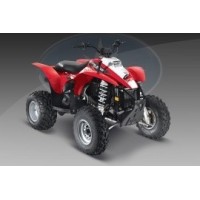 Polaris 330 Trail Blazer 2007