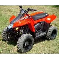Polaris 330 Trail Blazer 2010