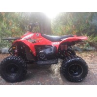 Polaris 500 Scrambler 2000