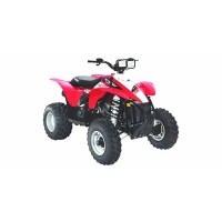 Polaris 500 Scrambler 2008