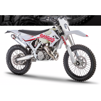 Gas-Gas 300 EX 2020