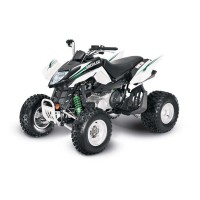 ARCTIC CAT 300 DVX 2010
