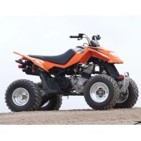 ARCTIC CAT 300 DVX 2012