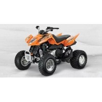 ARCTIC CAT 300 DVX 2013