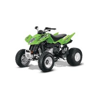 ARCTIC CAT 300 DVX 2014