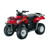 ARCTIC CAT 300 UTILITY 2009