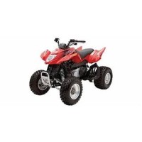 ARCTIC CAT 250 DVX 2006