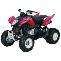 ARCTIC CAT 250 DVX 2007