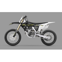 TRIUMPH 450 TF-X 2025