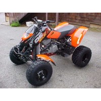 CAN-AM 650 DS 2001
