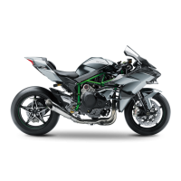 Kawasaki 1000 Ninja H2R 2021