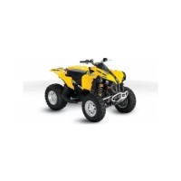 CAN-AM 500 Renegade 2010