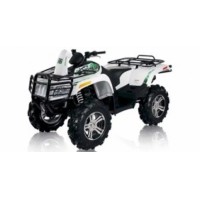 ARCTIC CAT 1000 H2 2010