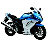 SUZUKI 650 GSX F 2010